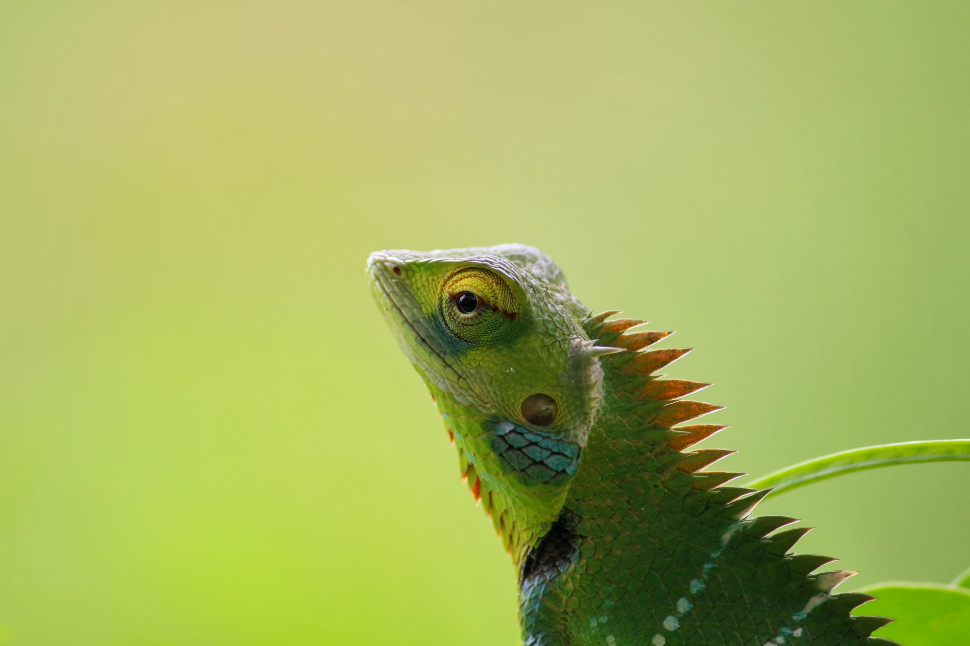 Agility with Purpose: Building Adaptable Organizations
