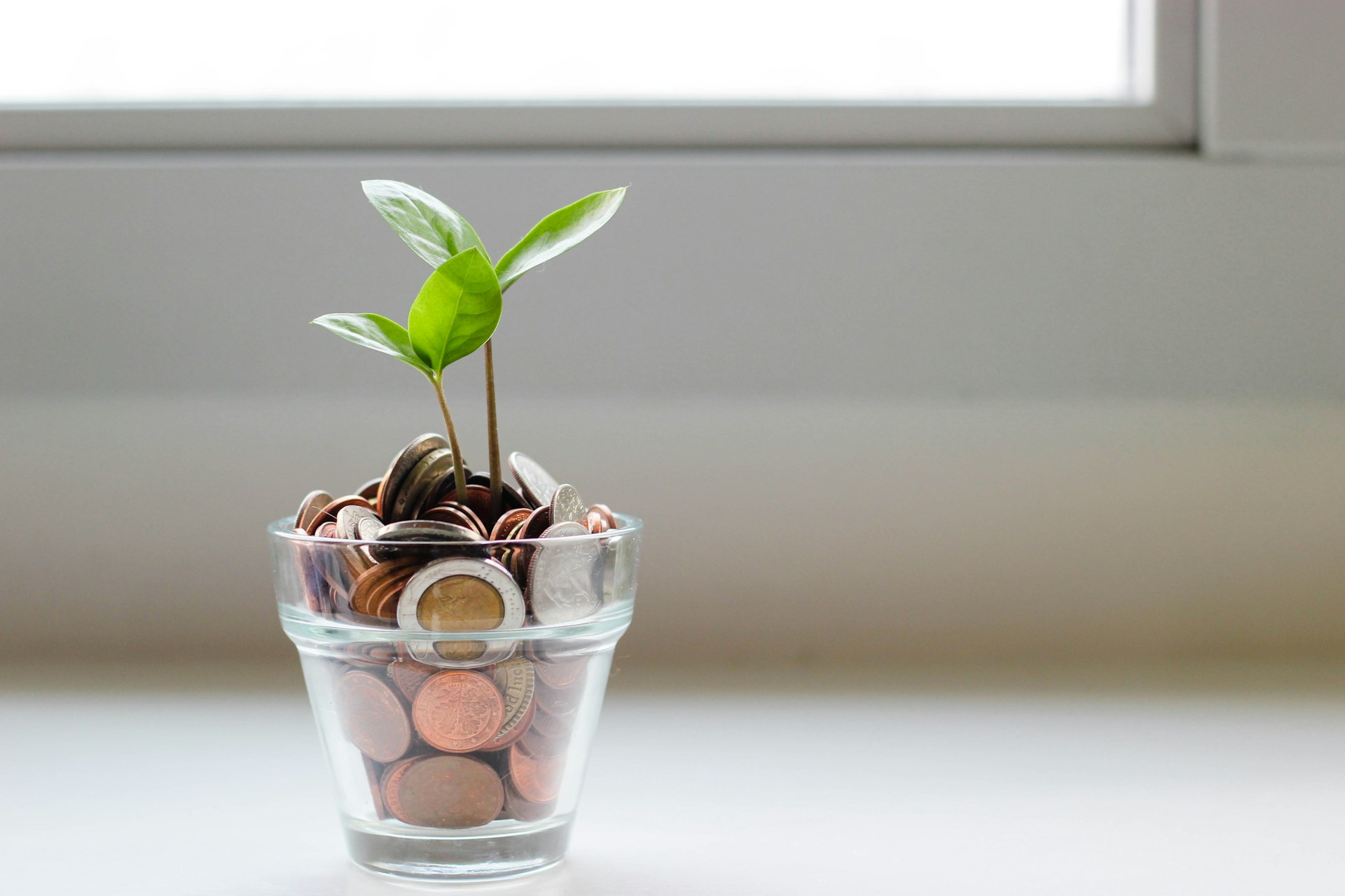 Competing Beyond Price: Value, Positioning, and Sustainable Advantage