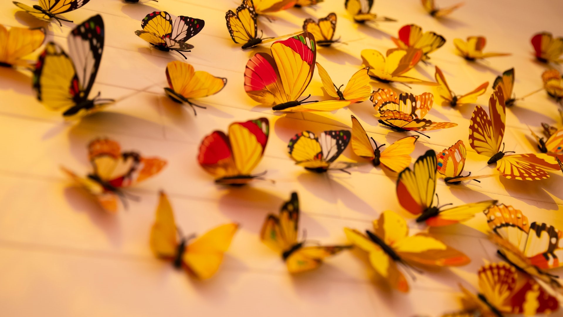 Making Change Last: Managing Organizational Transitions