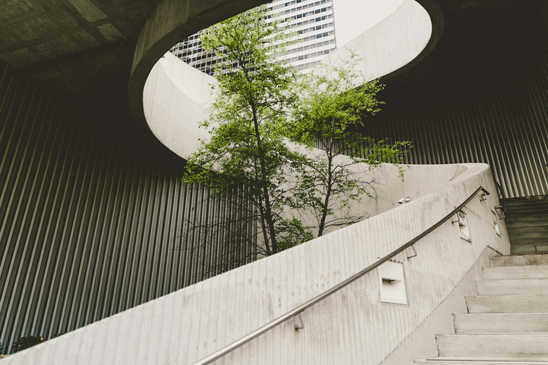 Strategy in Motion: Sustainability, Innovation, and Dynamic Capability