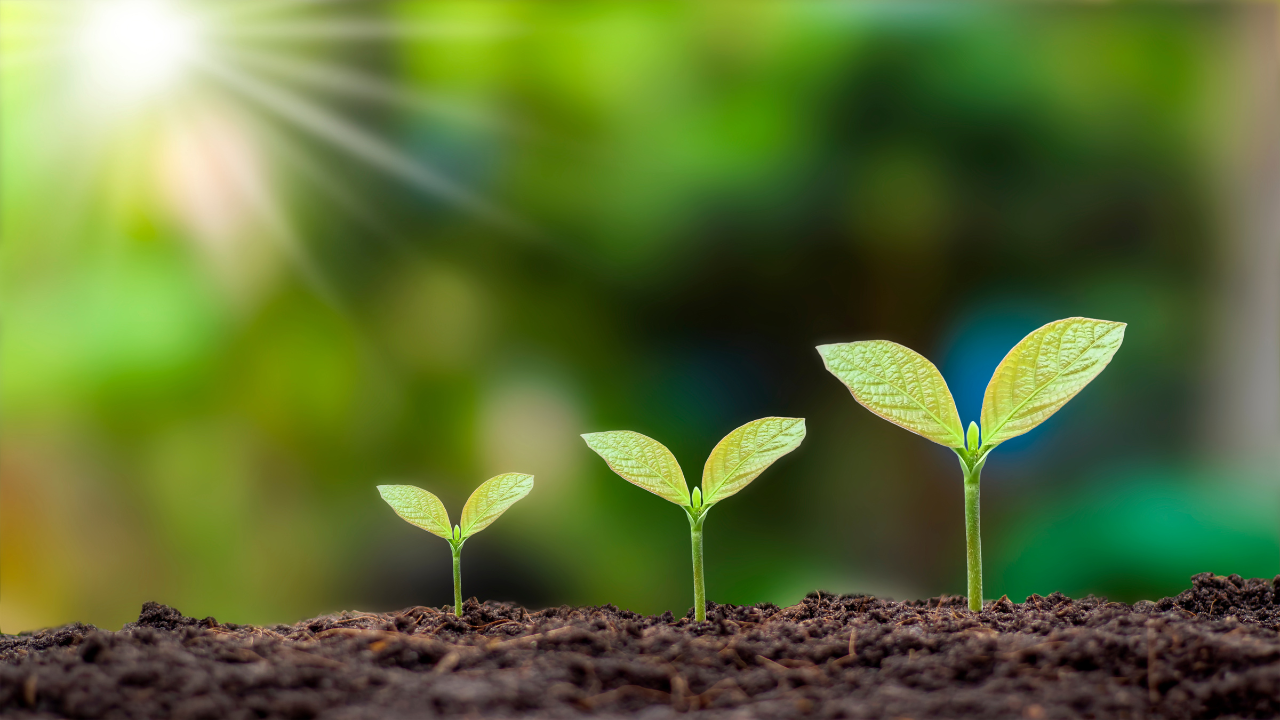 Organizational Change